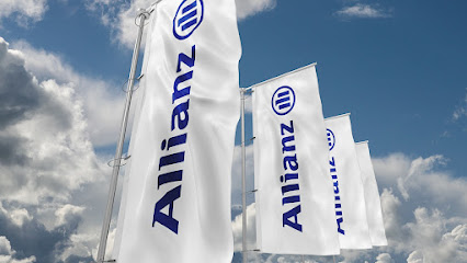 Seguros Allianz Seguros - Agencia Uribesalgo Aseguruak,Sl
